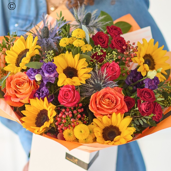 The Sunflower Carnival