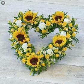 Striking Sunflower Heart