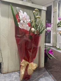 Cymbidium Orchid Plant